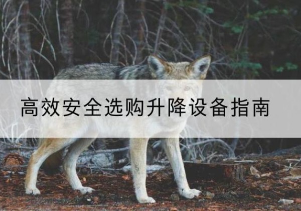 江口升降货梯厂家推荐-*安全选购升降设备指南