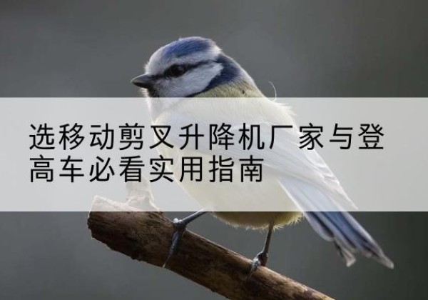 江口电动升降机厂家-选移动剪叉升降机厂家与登高车必看实用指南