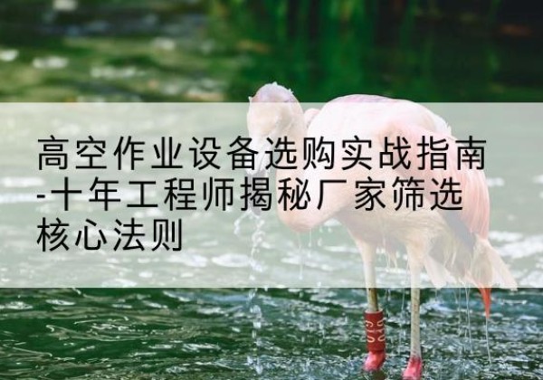 江口剪叉式升降机厂家-高空作业设备选购实战指南-十年工程师揭秘厂家筛选核心法则